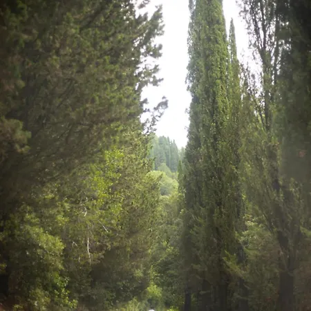Tassinaia Farm stay
