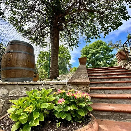 Tassinaia Farm stay Pontassieve
