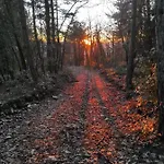 مزرعة للإقامة Tassinaia *