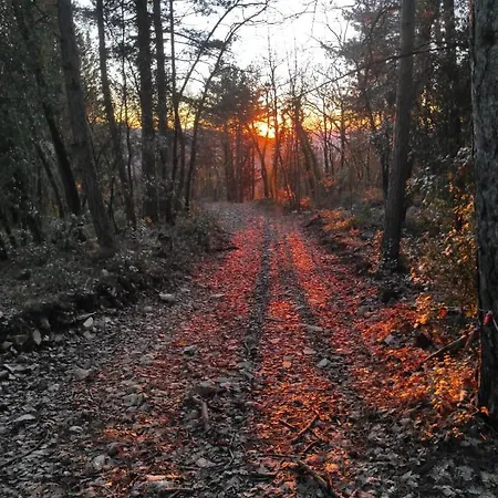 Vakantieboerderij Tassinaia *