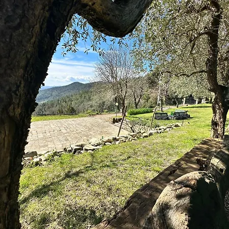 Tassinaia Farm stay Pontassieve