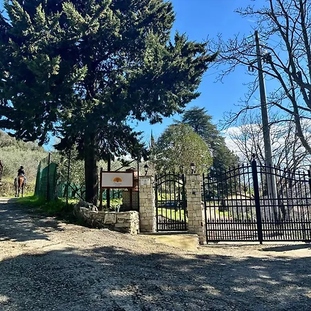 Tassinaia مزرعة للإقامة *