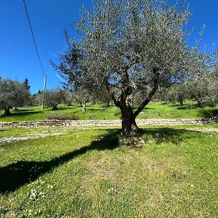 Tassinaia مزرعة للإقامة